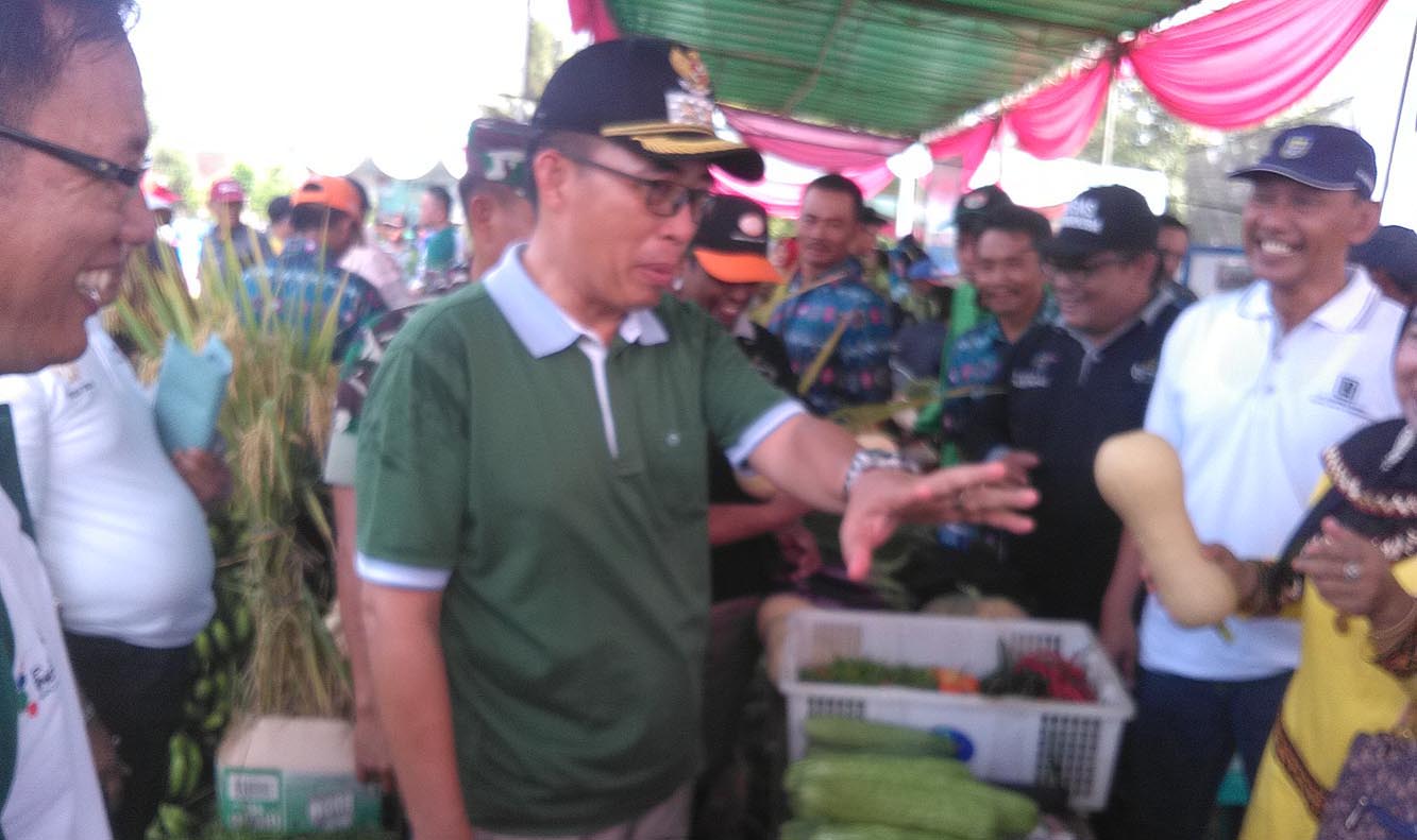 29 April-Plt.Bupati Lamtim Zaeful Bokhari Meninjau Stand Pameran pada Festival Panen Padi di Telogorejo Batanghari
