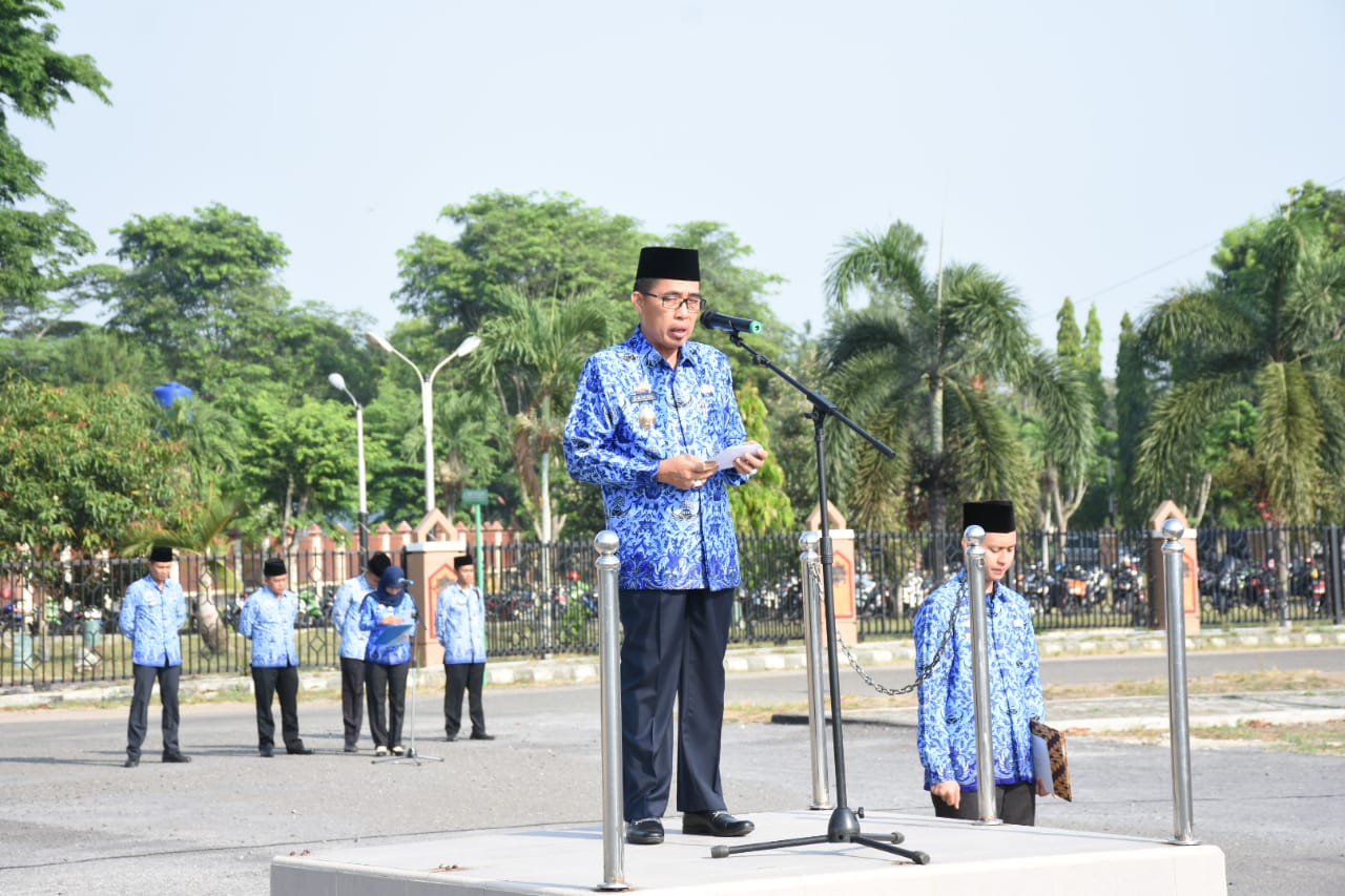 17 ipul