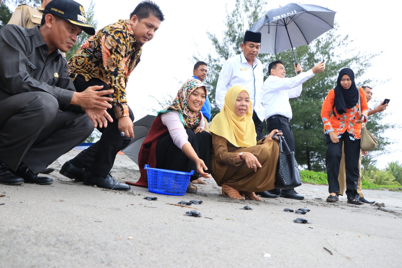 13 nov-nunikkk