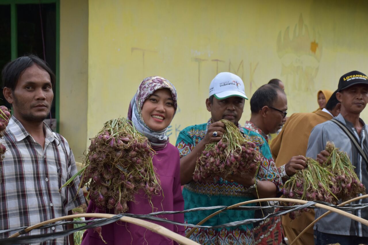 17 Des-Bawang Merah