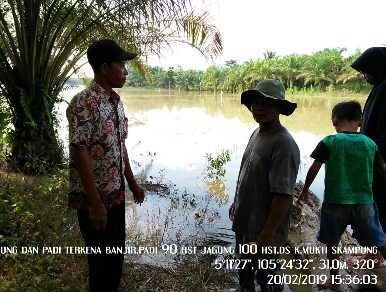 IMG-20190226-WA0025